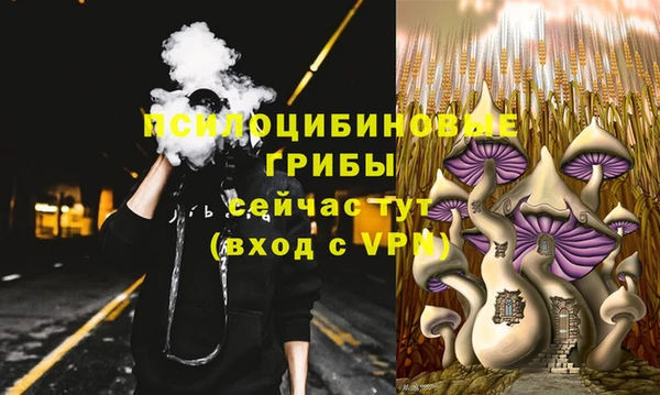 прущие крисы Богданович