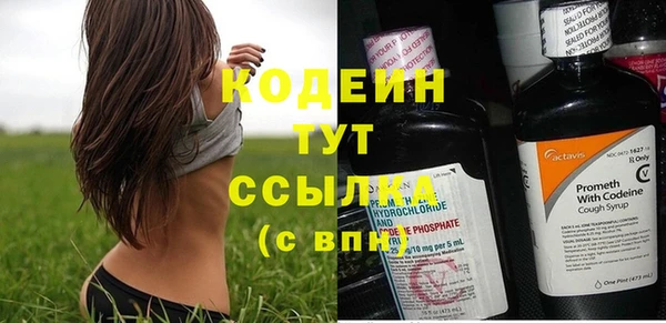 сатива Богородицк